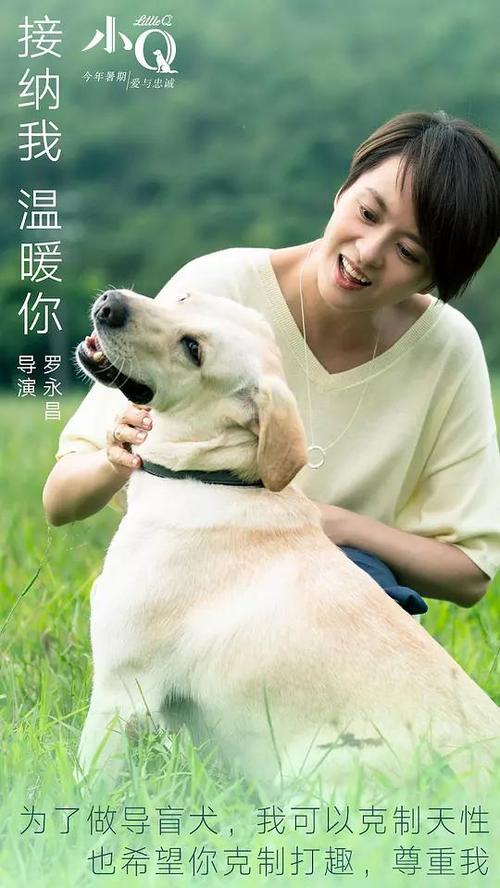 维诺纳州立大学文凭